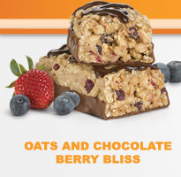 Oats and Chocolate Berry Bliss